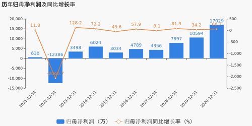 有研新材2020年度業(yè)績顯著提升，歸母凈利潤同比大漲60.74%，投資項(xiàng)目回報(bào)成未來焦點(diǎn)